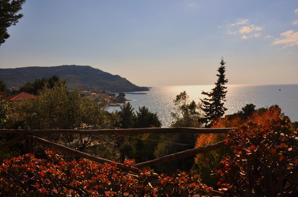 Villa Laura Sea View Apartments Santa Maria di Castellabate Exteriör bild