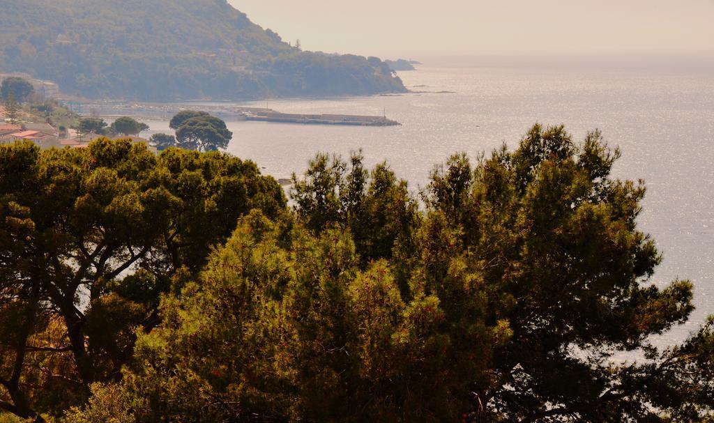 Villa Laura Sea View Apartments Santa Maria di Castellabate Exteriör bild